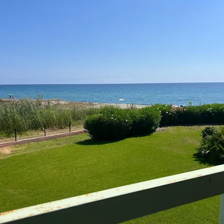 Bord De Avec Piscine *