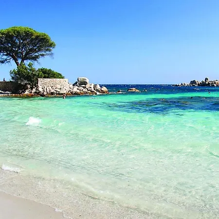 Bord De Avec Piscine *