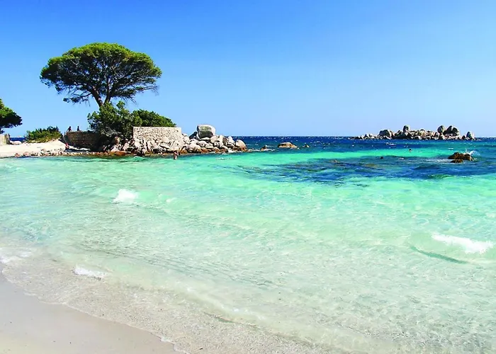 Bord De Avec Piscine *